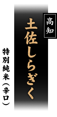 土佐しらぎく