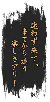 迷わず来て、来てから迷う楽しさアリ！