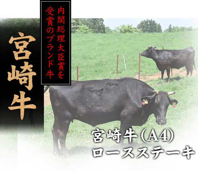 宮崎牛(A4)ロースステーキ